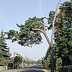 Ortsengang von Braunsdorf