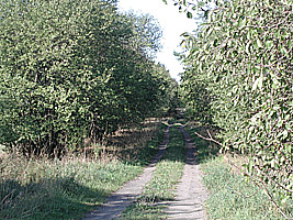 Radweg